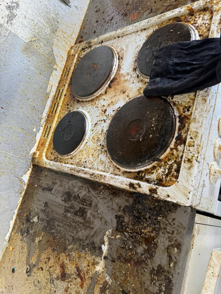 Before โ kitchen needing deep clean